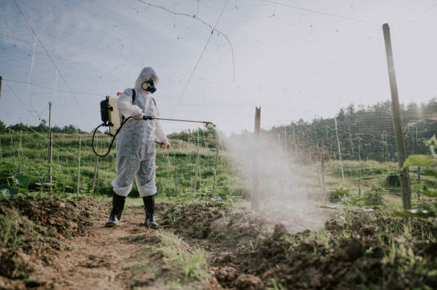 Best Pest Prevention Services  in Marriott Slaterville, UT