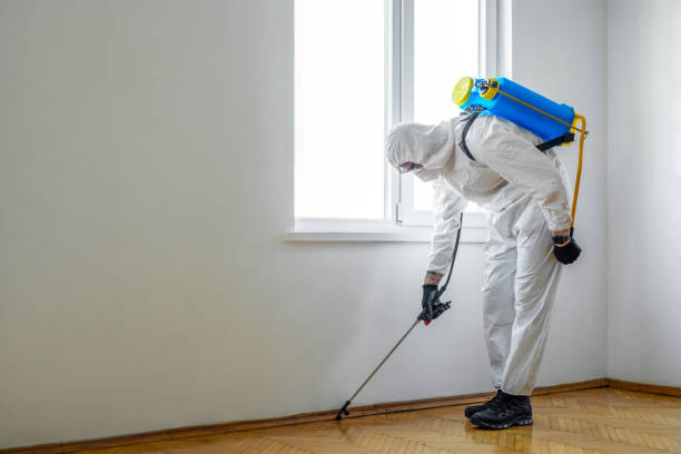 Best Pest Control Near Me  in Marriott Slaterville, UT