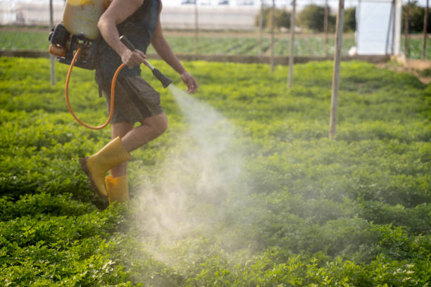 Best Best Pest Control Companies  in Marriott Slaterville, UT