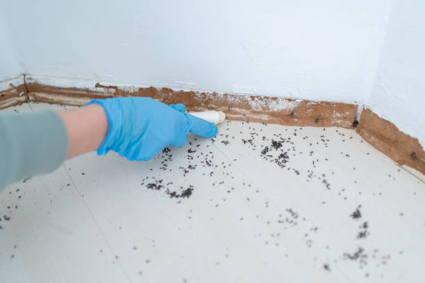 Best Mosquito Control Services  in Marriott Slaterville, UT