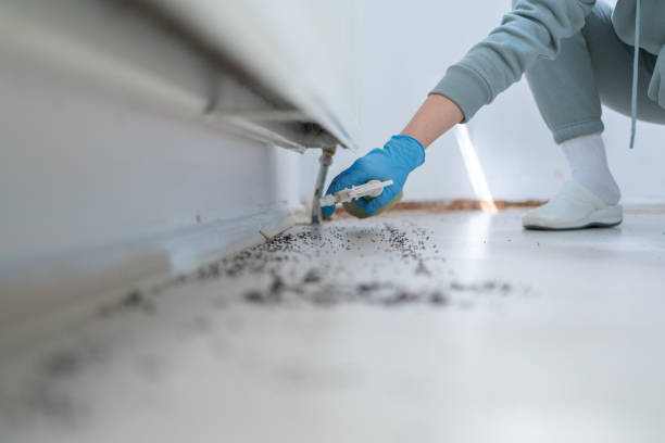 Best Bed Bug Extermination  in Marriott Slaterville, UT
